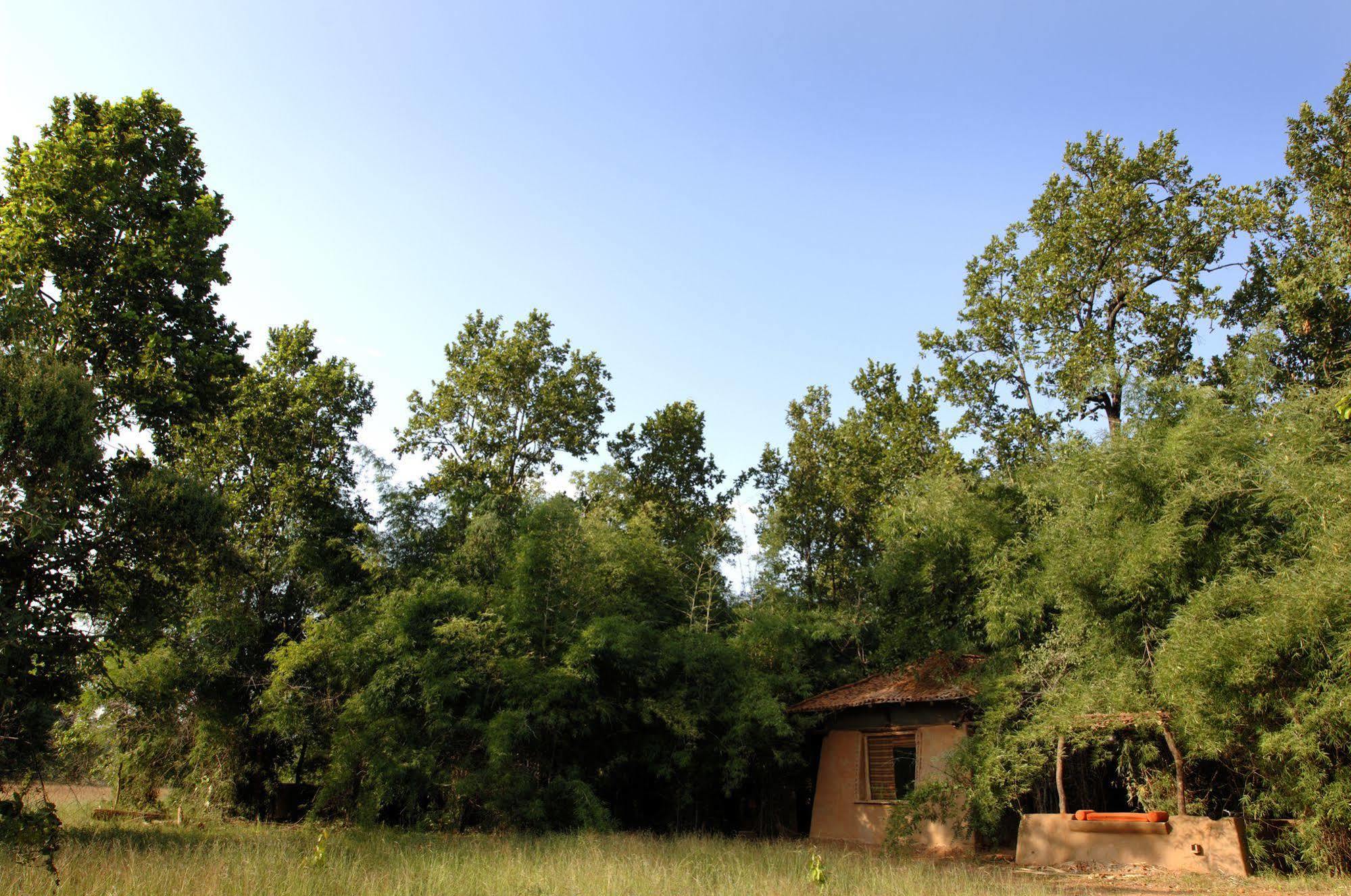 Отель Mahua Kothi, Bandhavgarh National Park Tala  Экстерьер фото