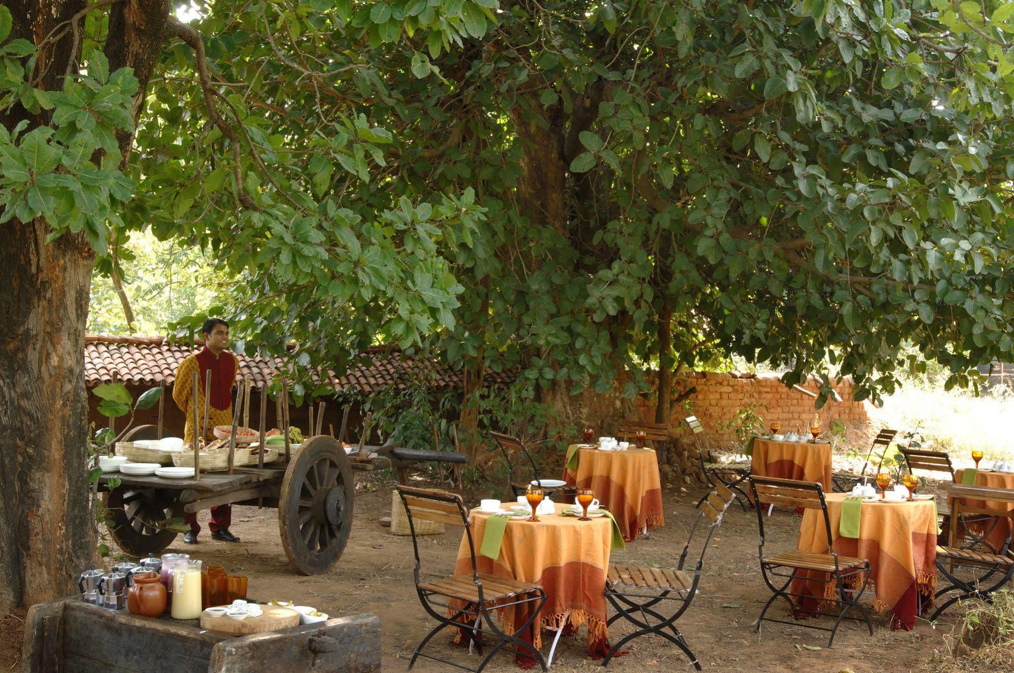 Отель Mahua Kothi, Bandhavgarh National Park Tala  Экстерьер фото